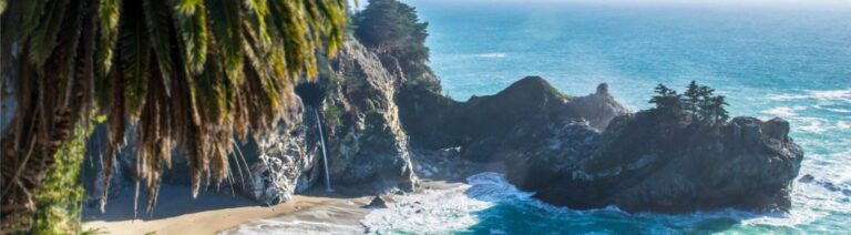 services bg 1024x283.jpg